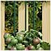 Supporti Per Piante Da Giardino 30 Pz Verde 115 Cm Acciaio - Foto miniatura 1