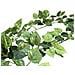 Pothos Garland Classic, Artificial, 180cm - Foto miniatura 3