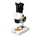 Microscopio Levenhuk 2st - Foto miniatura 1