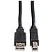 Secomp 11.44.8818 cavo USB USB 2.0 1,8 m USB A USB B Nero - Foto miniatura 2