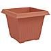 Vaso quadrato per fiori 24 pcs Rosso Mattone Plastica - Foto miniatura 5