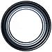 Lente Per Microscopio Stereoscopico 0,3x - Alta Qualità, Distanza Di Lavoro 287mm | Filettatura 48mm | Compatibile Con Modelli Moon Pro, Andromeda Pro, Pavo Pro, Neptune Pro, Jupiter Pro - Foto miniatura 6