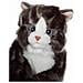 Peluche Gipsy Gatto Grigio Moderno - Foto miniatura 5
