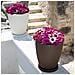 Vaso Aloe In Resina Tondo Bianco H38 Ø 30Cm - Foto miniatura 5