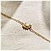 Gioielleria Radiant Ry000152. Bracciale, Colore Oro. Donna. - In ordine - Foto miniatura 3