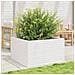 Fioriera Da Giardino Bianca 80x80x46 Cm Legno Massello Di Pino - Foto miniatura 6