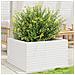 Fioriera Da Giardino Bianca 80x80x46 Cm Legno Massello Di Pino - Foto miniatura 7