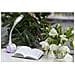 Lampada Da Tavolo Aje-rainbow Rgb Bianco 80 Plastica 6 W 230 V - Foto miniatura 4