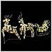 Renne LED con 60 LED 3 pcs Bianco caldo PET - Foto miniatura 2