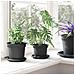 Vaso Rotondo per Fiori 6 pcs Nero Ø 12,5 x 10 cm Plastica - Foto miniatura 4