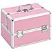 Valigia Per Cosmetici 22x30x21 Cm Rosa In Alluminio - Foto miniatura 1