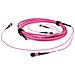 DC5252 cavo InfiniBand e in fibra ottica 10 m 2x MPO Viola - Foto miniatura 1