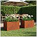 Vaso da giardino 2 pz Ruggine 50 x 40 x 40 cm Acciaio Corten - Foto miniatura 2