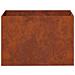 Vaso da giardino 2 pz Ruggine 50 x 40 x 40 cm Acciaio Corten - Foto miniatura 5