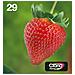 Multipack Ink Fragola T29. Mpck - Foto miniatura 3