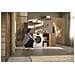 WWB360 WCS lavatrice Caricamento frontale 8 kg 1400 Giri /min Bianco - Foto miniatura 8