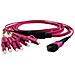 GTOM4MPOU4LCU01500 cavo InfiniBand e in fibra ottica 15 m MPO 4x LC OFC Viola - Foto miniatura 1