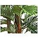 Kentia Palm Tree, Artificial Plant, 180cm - Foto miniatura 2