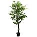 Albero Di Ficus Artificiale 630 Foglie 120 Cm Verde - Foto miniatura 1