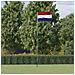 Asta e Bandiera Olanda 5,55 m Alluminio - Foto miniatura 2