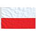 Asta e Bandiera Polonia 5,55 m Alluminio - Foto miniatura 2