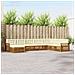 Set divani 8 pcs Naturale e Crema Legno di Acacia Massello - Foto miniatura 2