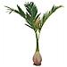 Phoenix Palm, Artificial Plant, 240cm - Foto miniatura 1