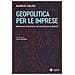 Marco Valigi - Geopolitica per le imprese. Ripensare il business nei mercati post-globali - Foto miniatura 1