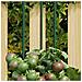 Supporti Per Piante Da Giardino 30 Pz Verde 60 Cm Acciaio - Foto miniatura 1