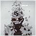Linkin Park - Living Things - Foto miniatura 2