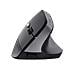 TM-270 mouse Mano destra RF Wireless Ottico 2400 DPI - Foto miniatura 3