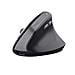 TM-270 mouse Mano destra RF Wireless Ottico 2400 DPI - Foto miniatura 1