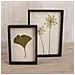 5 Fogli Di Cellulosa Per Realizzare La Tua Carta Riciclata 20 X 21 Cm - Foto miniatura 1