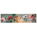 Tappeto Passatoia Cucina Antiscivolo Stampa Digitale Sprinty Varie Fantasie 52x180 Fortuna - Foto miniatura 1