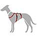 Imbracatura Per Cani 48-70 Cm Rosso S /m 36-51 Cm - Foto miniatura 3