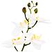 Pianta di Orchidea Artificiale con Vaso Bianco 45 x 15 x 65 cm - Foto miniatura 3