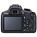 EOS 1300D Kit EF-S 18-55 IS II Sensore CMOS 18 Mpx Display 3" Filmati Full HD Wi-Fi NFC + Borsa + Scheda SD 4GB - Foto miniatura 2