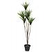 Yucca Palm, Artificial Plant, 130cm - Foto miniatura 1