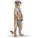 Figurina Meerkat In Piedi - Foto miniatura 1