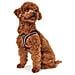 Imbracatura Per Cani Hilo-comfort Rosso Taglia M (55-60 Cm) - Foto miniatura 2