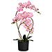 Pianta di Orchidea Artificiale con Vaso Rosa 45 x 15 x 65 cm - Foto miniatura 1