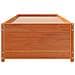 Dormeuse Senza Materasso Marrone Cera 80x200 Cm Legno Di Pino - Foto miniatura 3