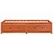 Dormeuse Senza Materasso Marrone Cera 80x200 Cm Legno Di Pino - Foto miniatura 4