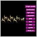 Renne LED con 40 LED 7 pcs Oro PET - Foto miniatura 7
