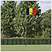 Asta e Bandiera Belgio 5,55 m Alluminio - Foto miniatura 2