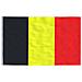 Asta e Bandiera Belgio 5,55 m Alluminio - Foto miniatura 4