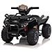 Quad Elettrico Per Bambini Scorpion 6v - Nero - Foto miniatura 1