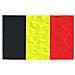 Asta e Bandiera Belgio 6,23 m Alluminio - Foto miniatura 4