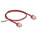 Cavo di rete RJ45 Cat. 6 UTP Ultra Slim 0,5 m rosso con connettori corti - Foto miniatura 1