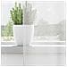 Tende In Voile Con Passanti 2 Pz Bianco 140x245 Cm - Foto miniatura 7